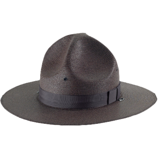 Alboum Straw Campaign Style Hat