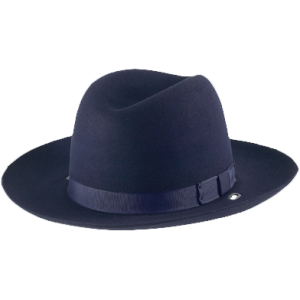 Alboum Felt Sheriff Style Hat